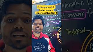 Photosynthesis in higher plants  Class 11 Chapter 11  Important Question neet cbse class11 [upl. by Ahsirat655]