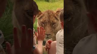 Have a wild day out at Blackpool Zoo [upl. by Bernhard]