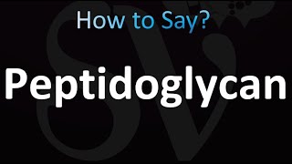 How to Pronounce Peptidoglycan Correctly [upl. by Olleina]