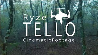 DJI Ryze Tello Cinema 27 [upl. by Liponis]