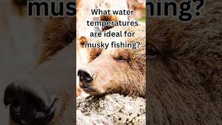 What water temperatures are ideal for Musky Fishing [upl. by Atse867]