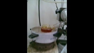 isolation of hesperidin from orange peel [upl. by Aivil688]