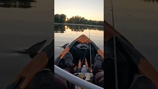 Spooked Pike shorts fishing crazy pike angling kayakfishing exciting fish [upl. by Ruyam223]