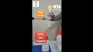 Reaction of Zinc and Sulphuric Acid [upl. by Shyamal908]