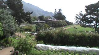 A Walk Through the Garden at Esalen [upl. by Onirotciv588]