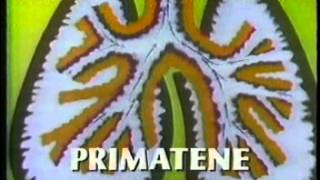 Primatene Mist commercial 1995 [upl. by Millhon200]