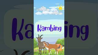 MENGENAL NAMA HEWAN KAMBING BAHASA INDONESIA anakanak hewan jafsr2024 kambing kids animals [upl. by Gualterio]