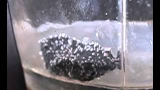 Radioactive Uraninite BUBBLES in salt water and turns BLUEHutchison Effect [upl. by Anaihk]