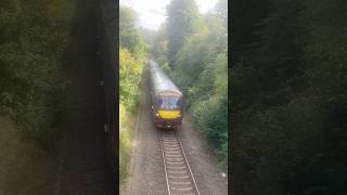 Class 170’s on the branch line between AmbergateMatlock Next stop Cromford [upl. by Ailedroc792]