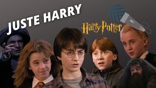 quotJUSTE HARRYquot Harry Potter  REMIX [upl. by Madison]