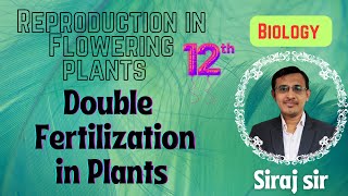 Double Fertilization in Plants Class 12Post Pollination Event Syngamy and Triple Fusion [upl. by Wadsworth]