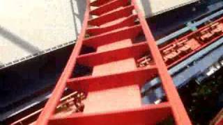 Roller coaster POV  Sheikra from Busch Gardens Tampa [upl. by Annalee]