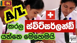 After OL amp AL  How to find a Job in Switzerland  ලංකාවෙන් ස්විට්සර්ලන්ඩ් යන්න කුමක් කරමුද [upl. by Aserat]