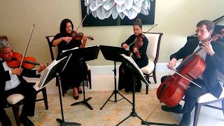 Mendelssohns Wedding March string quartet [upl. by Ara]