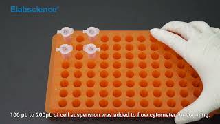 ROS Fluorometric Assay Kit Operation Video for Flow Cytometry [upl. by Tavie470]