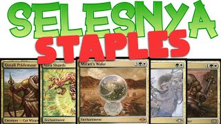 Which Staples Do I Put In My Selesnya Commander Decks [upl. by Slavin952]