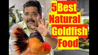 5 best Goldfish foods  Goldfish Aquarium  Mayur Dev Aquascaper  Natural Aquarium Fish Food [upl. by Chadwick909]