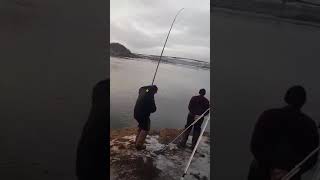 shore fishing norway feb 2020 Saltstraumen Bryyge [upl. by Igiul]