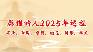 属猪的人2025年运程 生肖猪2025年事业、财运、感情、桃花、健康、学业运势详解 生肖運勢 2025年 运势 运程 生肖猪 [upl. by Neral]