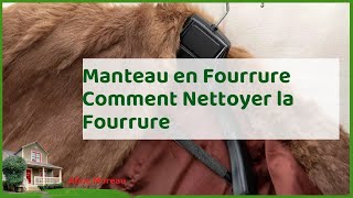 Fourrure éclatante  guide complet pour nettoyer votre manteau en fourrure [upl. by Nerfe]