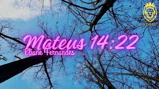 Eliane Fernandes  Mateus 1422 Playback [upl. by Chang764]