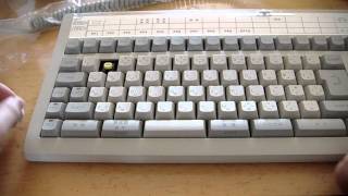 NEC PTOS Keyboard PC9801114 ALPS Yellow Switch [upl. by Eward725]