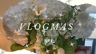 Speaking a little about New Year Resolutions VLOGMAS DAY 6 [upl. by Desta]