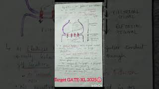 Transmission of Nerve impulses 🔥Electrical amp Chemical Synapse youtubeshortsfeed shortsbeta [upl. by Ola]