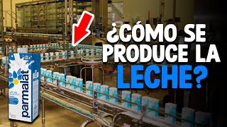 Cómo Se Produce La LECHE Proceso En Fábrica [upl. by Spense]