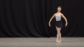 Insight Ballet Glossary  Petit allegro [upl. by Eelyac]