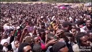 Umar suleyman oromo music 2018 [upl. by Assert]