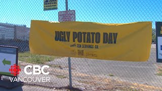 Ugly Potato Day giveaway growing in popularity [upl. by Eeruhs]