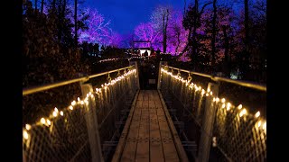 Geierlights Beleuchtete Hängeseilbrücke Geierlay [upl. by Stanislaus]