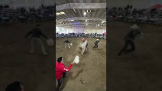 GALLITO DE MORELIA Vs Mercedes Benz de Los Terremotos Jaliscienses Lakeport Ca [upl. by Hujsak367]