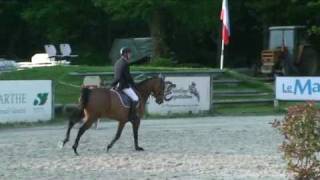 Perle du Marais jumping horse by Diamant de Semilly [upl. by Anival]