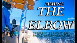 Fishing John Pennekamp The Elbow Reefs  Offshore Key Largo FL Catch and Cook fypシ subscribe [upl. by Nylaras]