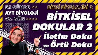 48 Bitkisel Dokular 2  Bitki Biyolojisi  12 Sınıf Biyoloji  2024 AYT Biyoloji 48 Gün [upl. by Assertal950]