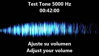 5000 hz Test Tone  frequency 5 khz [upl. by Cassil144]