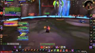 WoW Warlock solo  The Black StalkerUnderbog End Boss Normal Mode [upl. by Carlick7]