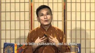 02  Tenzin Wangyal Rinpoché  Présentation des 3 Portes [upl. by Enrobyalc]