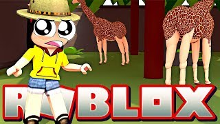 Dont Hurt Them Help Them  Roblox Zoo Tycoon  DOLLASTIC PLAYS [upl. by Aylsworth]