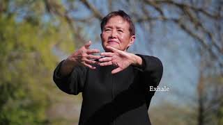 Qigong Full 20Minute Daily Routine [upl. by Noraed]