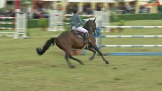 Jennifer Fogh Pedersen  Diego de Semilly  Landeschampionat  Holsteiner Pferdetage 2017 [upl. by Micro362]