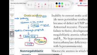 Orotic aciduria haematology 40 First Aid USMLE Step 1 in UrduHindi [upl. by Bogusz]