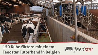 Futterband platzsparend  unter Melkstand  So füttert ein belgischer Betrieb 150 Kühe mit Feedstar [upl. by Aseret]