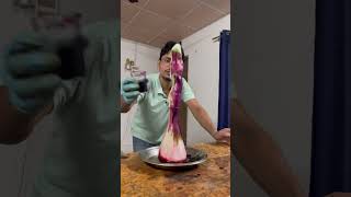 How to Make Elephant Toothpaste Conduct Your Own Experiment science chemistry scienceexperiment [upl. by Jessamyn]