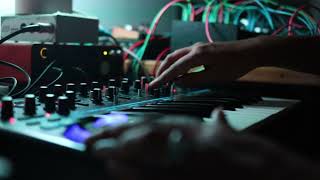 Novation Bass Station 2  Ambient jam [upl. by Llenor]