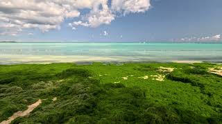 Beaches covered with neverseen green algae Walking tour on Mont Choisy Mauritius 4k 60 FPS [upl. by Steinke]