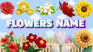 20 Flowers Name in English Types of Flower Flowers name for kids [upl. by Yvor34]