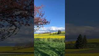 Wunderschön Frühling im Kraichgau wandern [upl. by Hars]